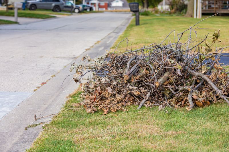 leaf removal