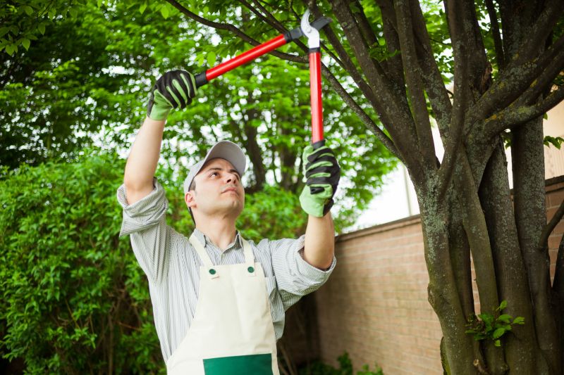 leaf removal