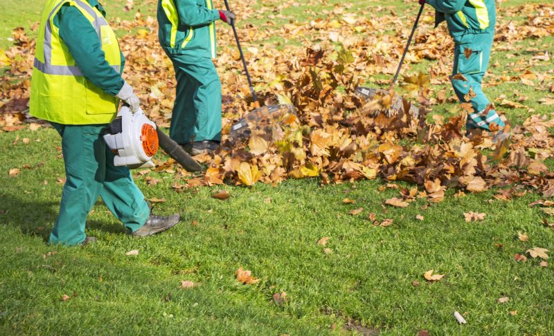 Timing for Fall Leaf Removal