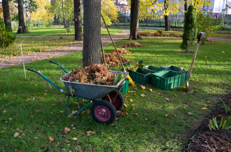 Preparing for Leaf Removal